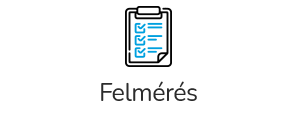 Felmérés